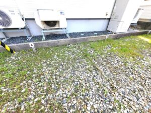 区割Bを募集しています(外観)