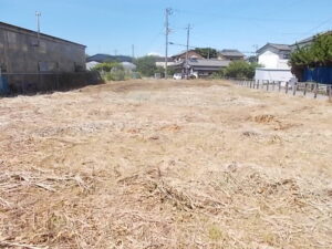 (外観) (外観)