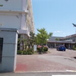新潟市立曽野木小学校まで882m(周辺)