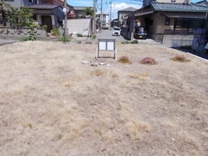 南西側より 南西側より